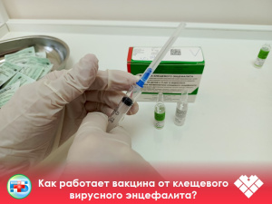  Осторожно, клещ! Сезон активности начался