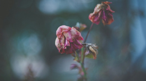 Старческая астения: как жить дальше?