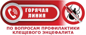 О работе горячей линии и консультирования граждан по профилактике клещевого энцефалита и других инфекций, передающихся клещами