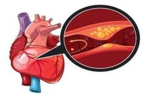 10-16 февраля посвящены профилактике заболеваний сердца