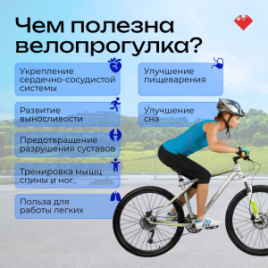 Регулярная физическая активность является основой крепкого здоровья. Занятия спортом существенно улучшают общее самочувствие и работу всех органов и систем организма.