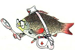 Месячник профилактики краевой патологии