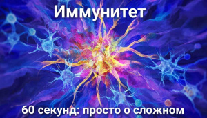 Все говорят об иммунитете, но что это на самом деле? 