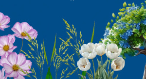 По статистике, от аллергии страдает каждый третий житель Земли 