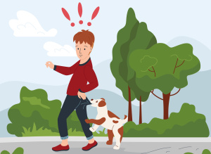 Что делать если укусила собака или кошка? 