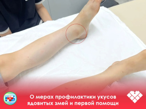 В Когалымской городской больнице был экстренно принят 9-летний мальчик с укусом змеи. 