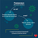 Памятка для пациента о проведении ревакцинации