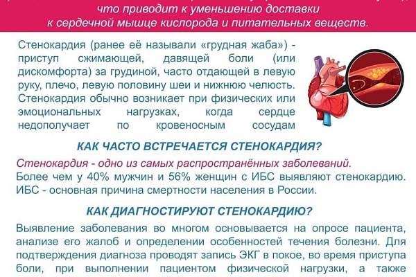 10-16 февраля посвящены профилактике заболеваний сердца