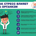 Сегодня начинается неделя сохранения душевного комфорта (в честь Международной недели осведомленности о стрессе)