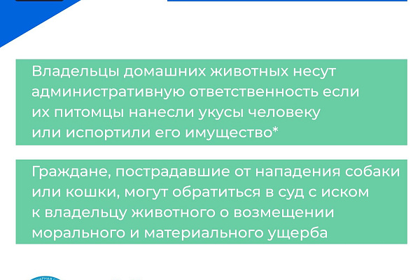 Что делать если укусила собака или кошка? 