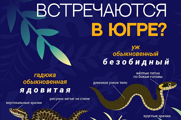Внимание, опас-с-с-сность!