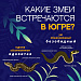 Внимание, опас-с-с-сность!