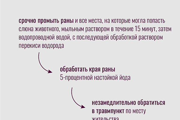 Бешенство