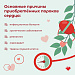 На учете у детских кардиологов окружного кардиодиспансера состоит более 1300 пациентов с врожденным пороком сердца