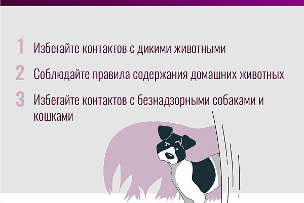 Бешенство