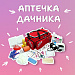 Собираем аптечку дачника