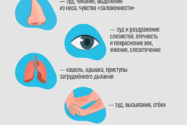 Главный аллерголог-иммунолог Югры рекомендует не игнорировать аллергические реакции