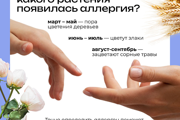 Аллергия