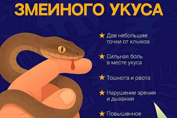 Внимание, опас-с-с-сность!