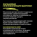 Внимание! Популярные схемы мошенничества в сфере здравоохранения
