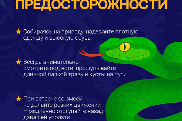 Внимание, опас-с-с-сность!