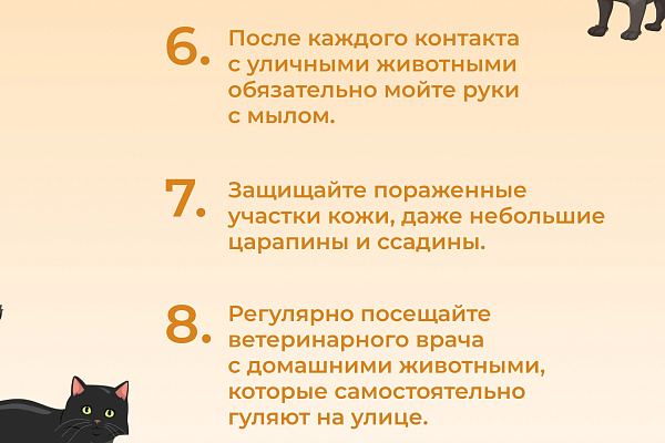Основные правила гигиены для предотвращения кожных заболеваний