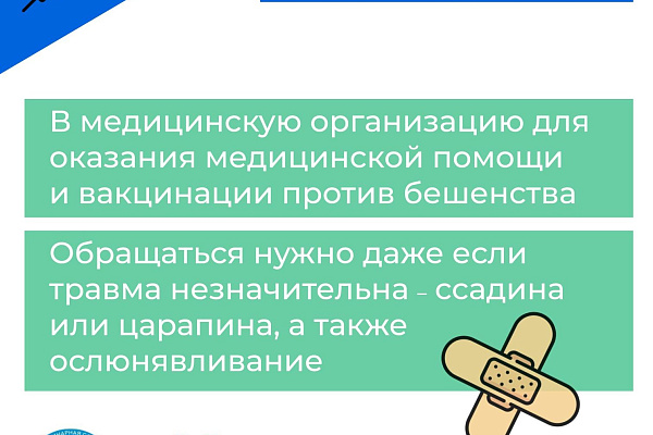 Что делать если укусила собака или кошка? 