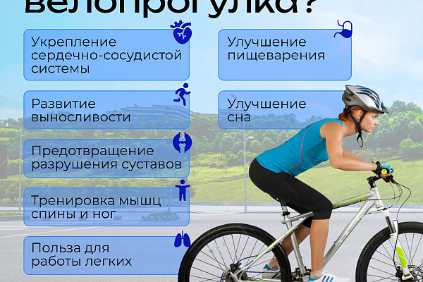 Регулярная физическая активность является основой крепкого здоровья. Занятия спортом существенно улучшают общее самочувствие и работу всех органов и систем организма.