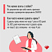14 июня – Всемирный день донора крови и её компонентов.